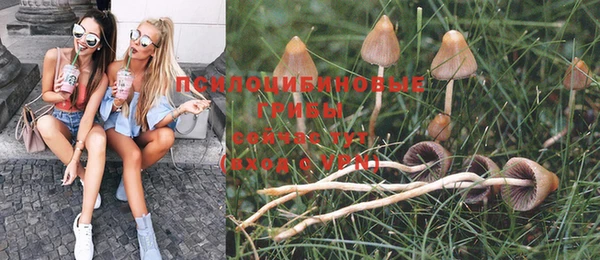 сатива Магадан