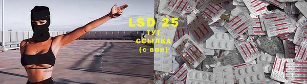 прущие крисы Вязьма