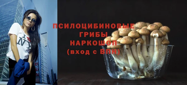 метадон Горняк