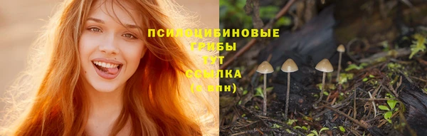 стафф Горнозаводск