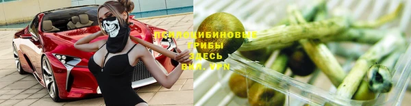 прущий лед Горно-Алтайск