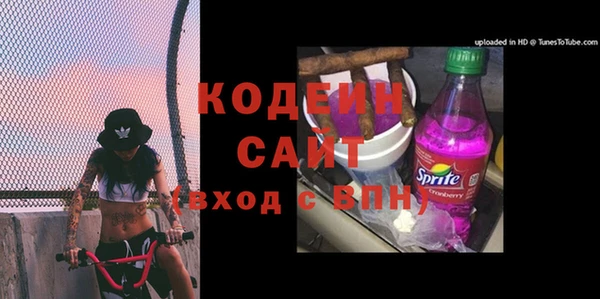 прущая мука Вяземский