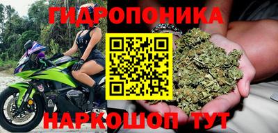 гидра Кандалакша