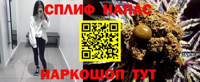 гидра Кандалакша