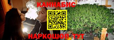 спиды Камышлов