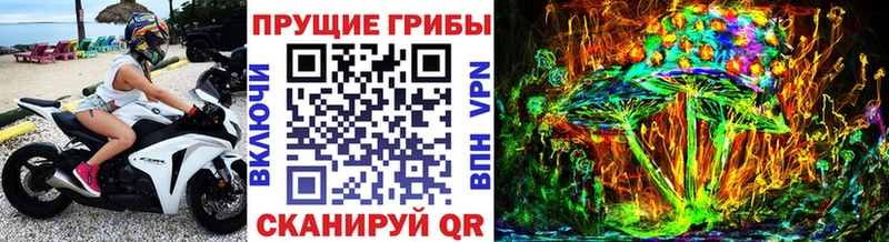 Псилоцибиновые грибы прущие грибы  Донецк 